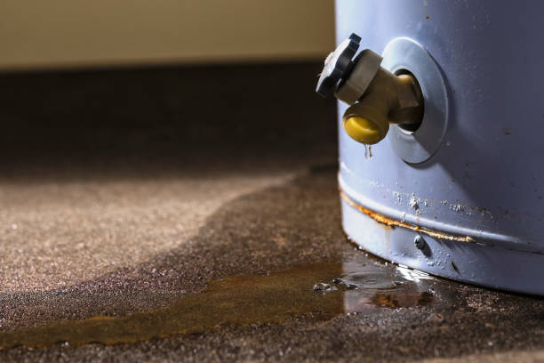 Best Water damage cleanup near me  in Hanceville, AL