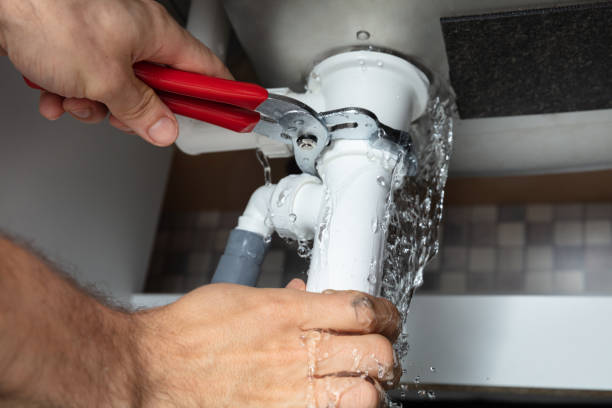 Best Mold removal after water damage  in Hanceville, AL