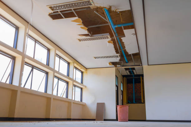 Best Water damage contractors near me  in Hanceville, AL