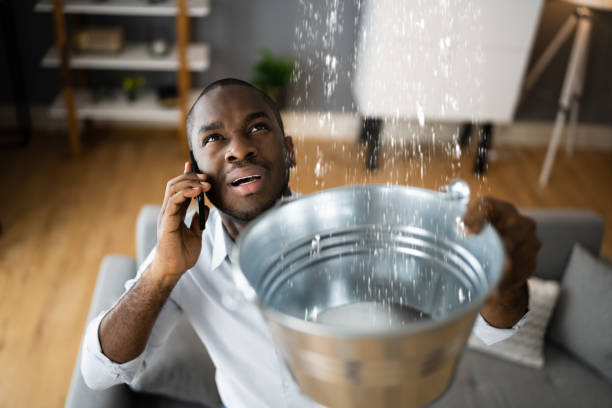 Best Water damage restoration near me  in Hanceville, AL