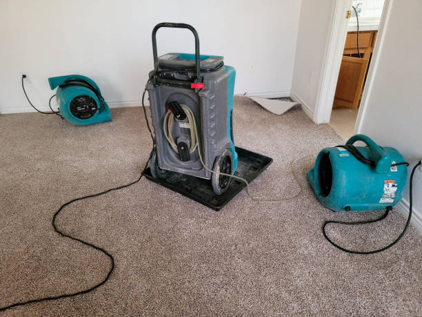 Best Sewage cleanup and water damage restoration  in Hanceville, AL