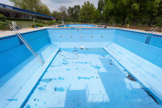 Best Water damage contractors near me  in Hanceville, AL