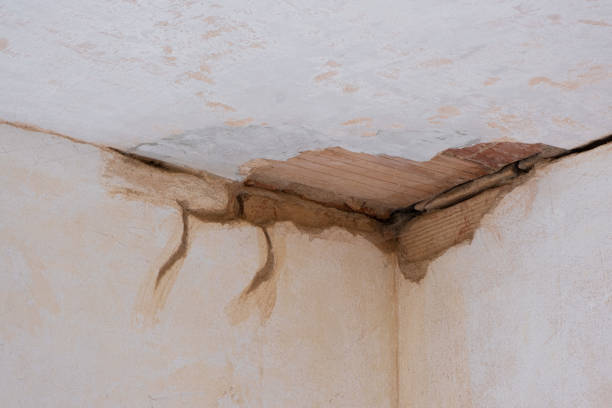 Best Basement water damage restoration  in Hanceville, AL