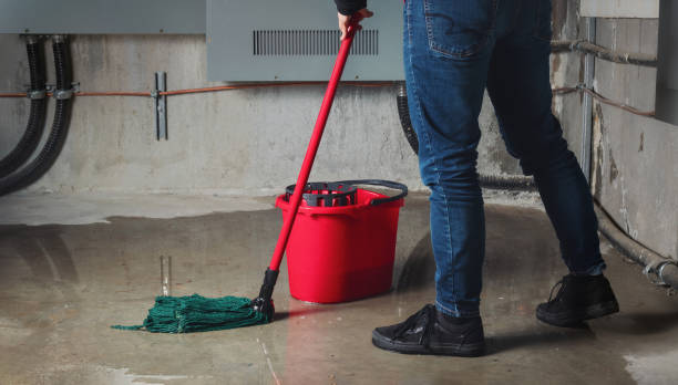 Best Flooded house restoration  in Hanceville, AL
