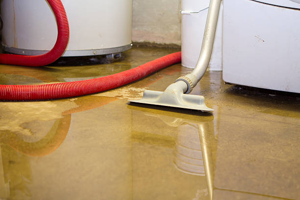 Best Professional water damage repair  in Hanceville, AL