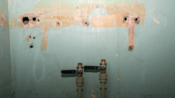 Best Flood damage cleanup  in Hanceville, AL