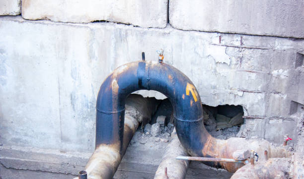 Best Water damage restoration mold remediation  in Hanceville, AL