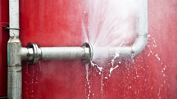 Best Water damage restoration near me  in Hanceville, AL