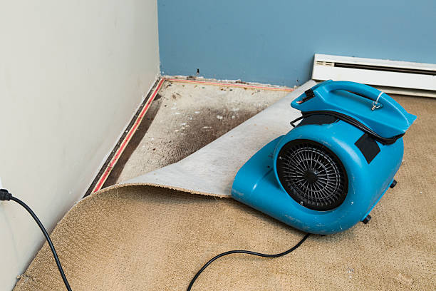Best Emergency water damage restoration  in Hanceville, AL