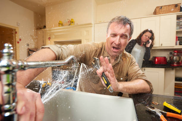 Best Local water damage restoration  in Hanceville, AL